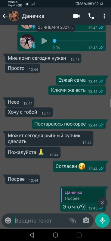 Screenshot_20210130_021348_com.whatsapp.jpg