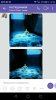 Screenshot_2018-02-17-14-34-37.png